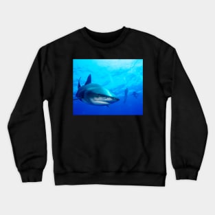 Close Shark with Scuba Diver Crewneck Sweatshirt